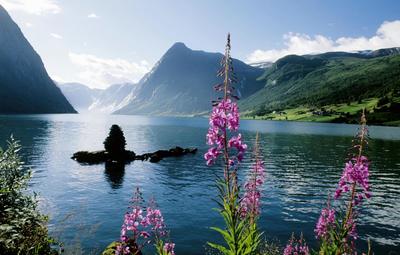 平谷滿三年旅行社轉讓國內旅游業務所需材料全解析